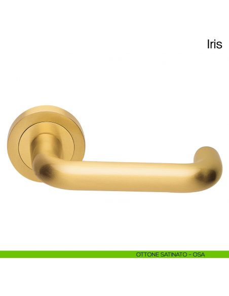 Maniglia per porta Iris Manital ottone satinato